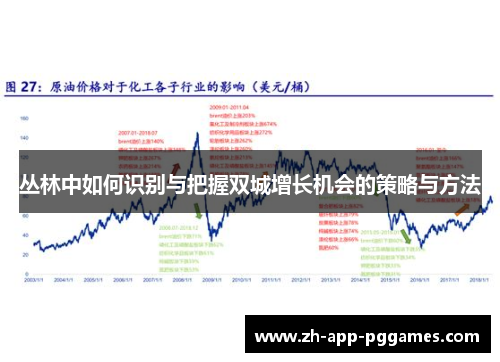 丛林中如何识别与把握双城增长机会的策略与方法