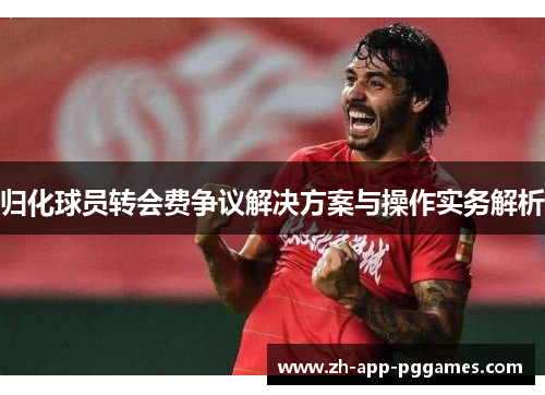 归化球员转会费争议解决方案与操作实务解析