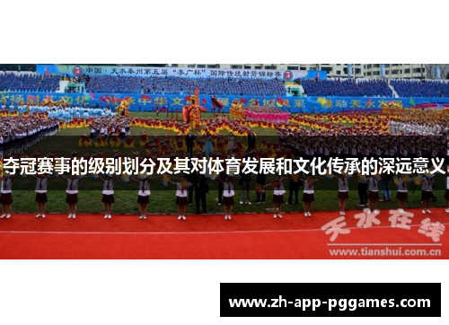 夺冠赛事的级别划分及其对体育发展和文化传承的深远意义