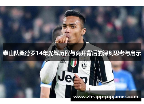 泰山队桑德罗14年光辉历程与离开背后的深刻思考与启示