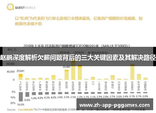 赵鹏深度解析欠薪问题背后的三大关键因素及其解决路径