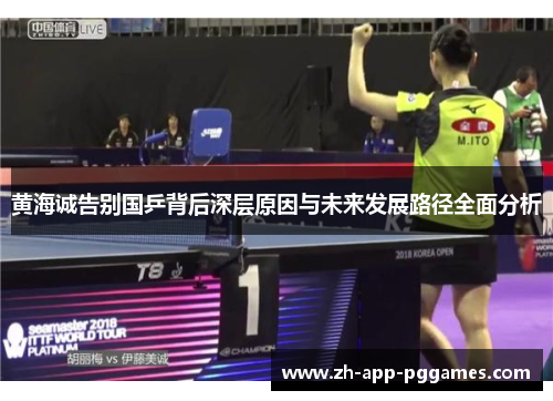 黄海诚告别国乒背后深层原因与未来发展路径全面分析