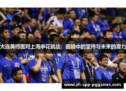 大连英博面对上海申花挑战：困境中的坚持与未来的潜力