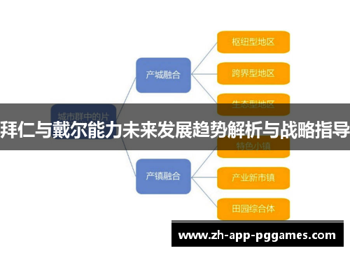 拜仁与戴尔能力未来发展趋势解析与战略指导